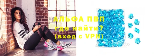 дурь Туринск