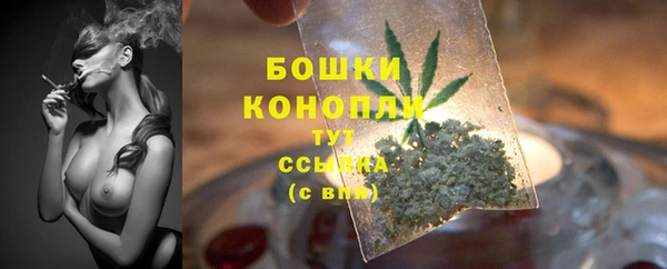 круглые Вяземский