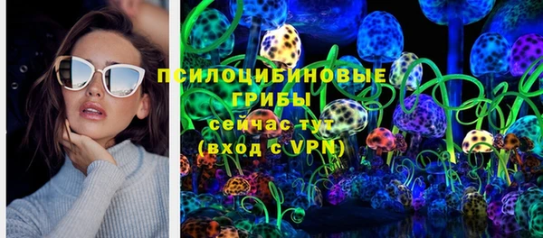 круглые Вяземский