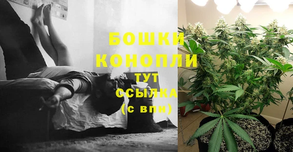 стафф Тында