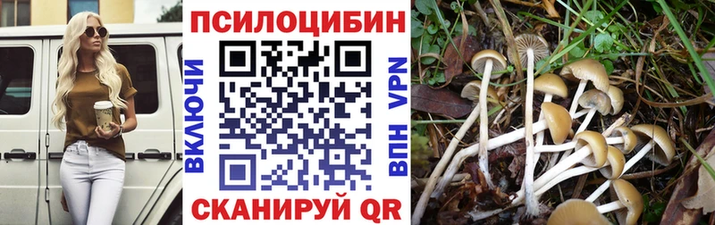 Псилоцибиновые грибы прущие грибы  купить наркотик  Шацк 